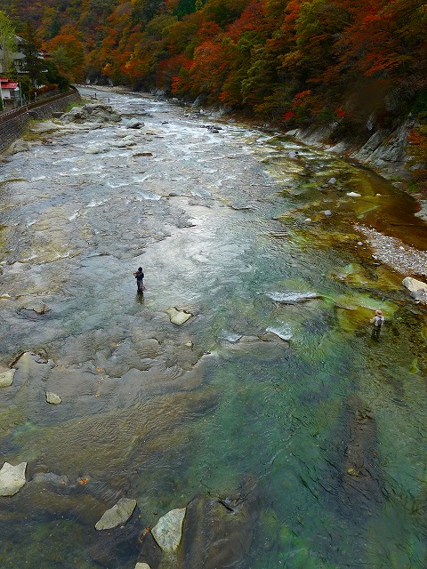 e0202393_1344266.jpg