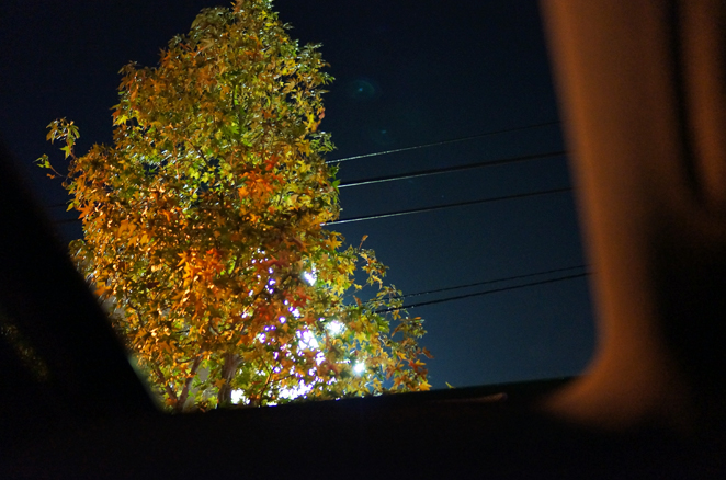 c0021694_1526582.jpg