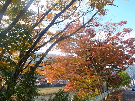 キンシュ~2_d0087595_9242584.jpg