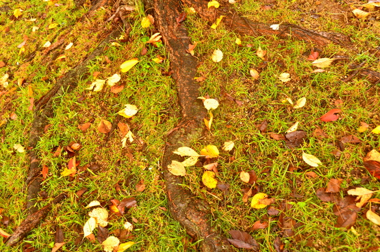 e0111396_1725772.jpg