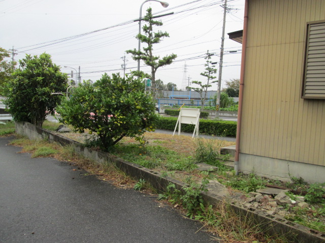a0194797_29057.jpg
