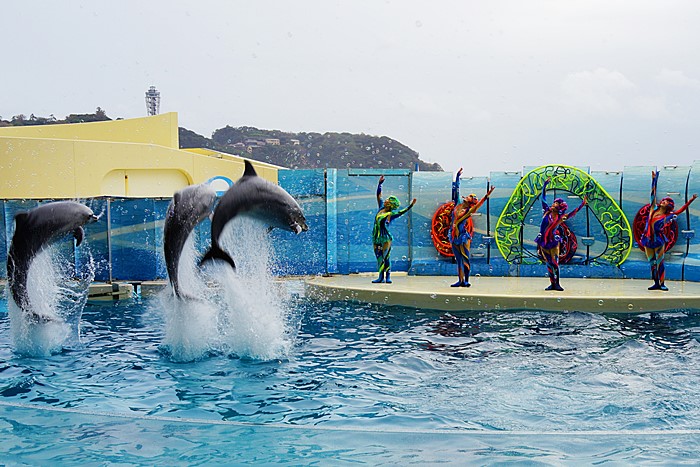 新江ノ島水族館 ハロウィン_b0145398_22275453.jpg
