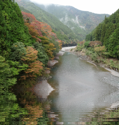 c0125501_22174550.gif