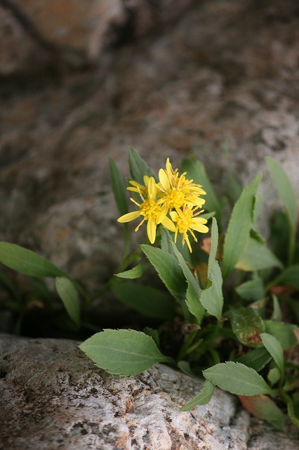 e0276101_23242950.jpg