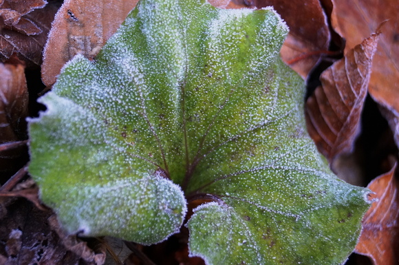 a0028803_23134263.jpg