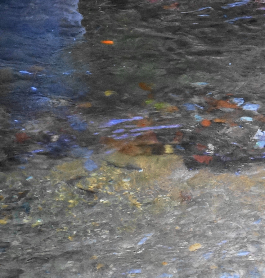 a0028803_2315348.jpg