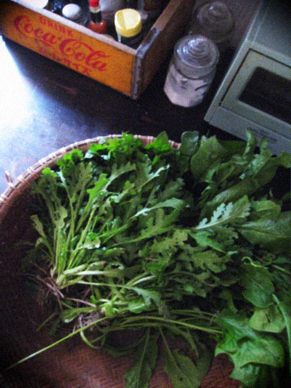 d0077603_9146100.jpg