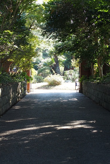a0213011_8241557.jpg