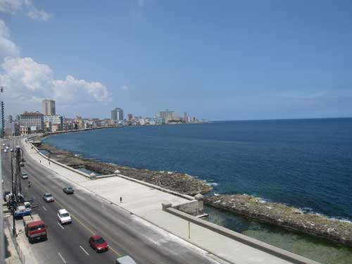 e0163511_354267.jpg