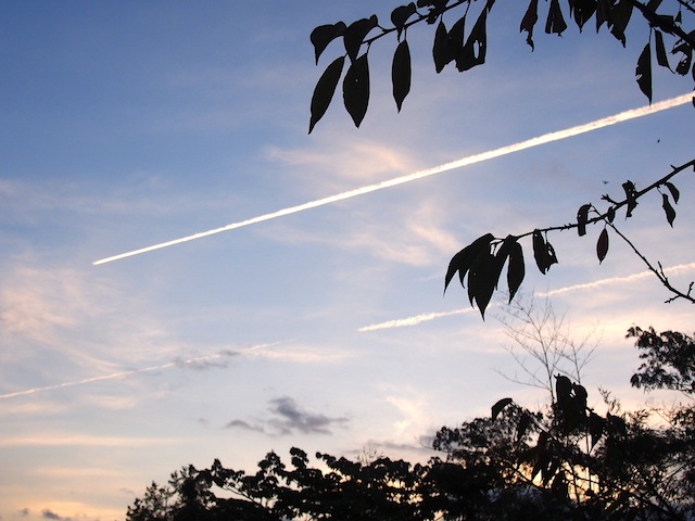 c0248013_1356046.jpg