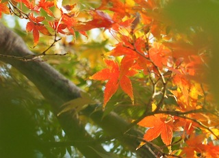 c0248013_1413512.jpg