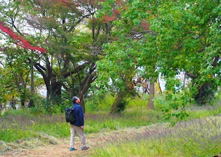 c0248013_14154346.jpg