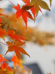 c0248013_1446522.jpg