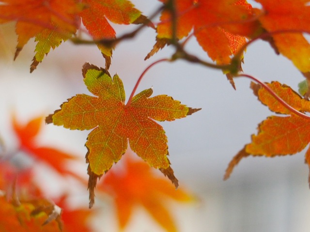 c0248013_148517.jpg