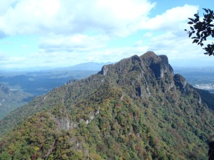d0100314_233506.jpg