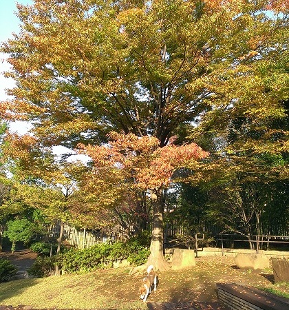 c0084117_2034667.jpg
