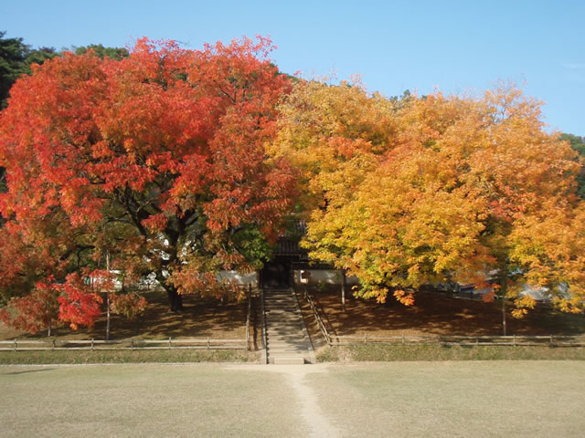 c0162817_832944.jpg