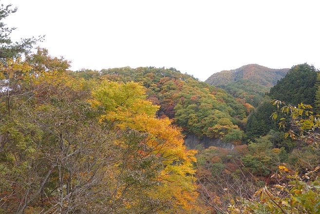 e0112417_2245259.jpg