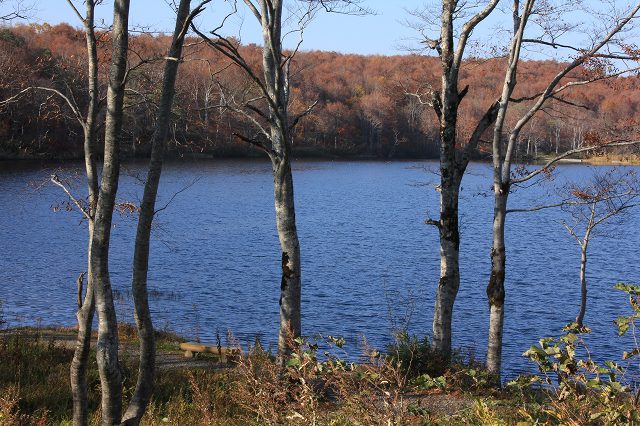 e0242721_10313469.jpg