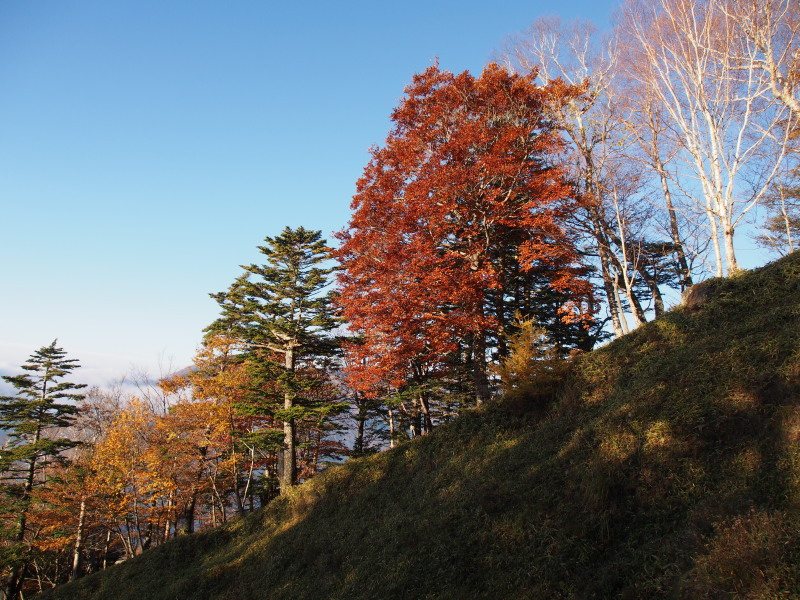 c0085622_2291023.jpg