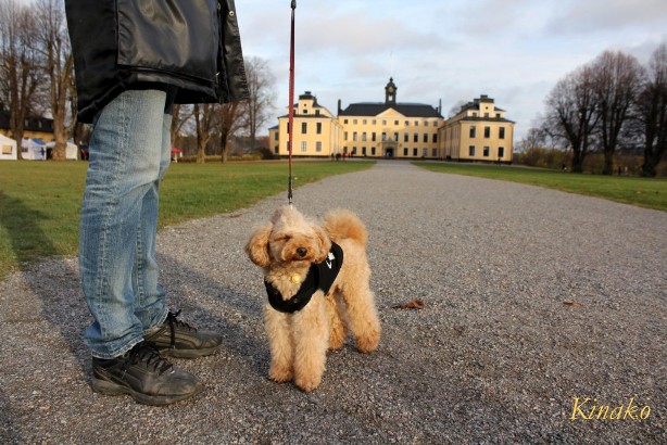 ウルリクスダールのオータムマーケット　－　Höstmarknad på Ulriksdal_e0250023_2348651.jpg