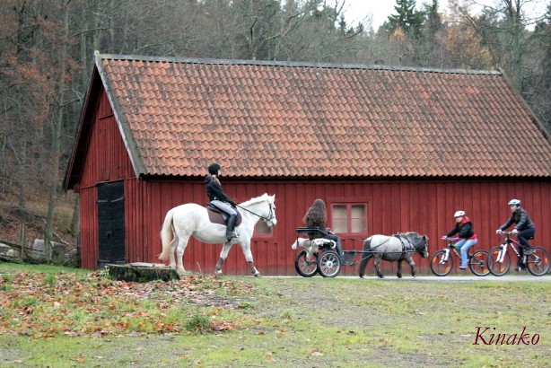 ウルリクスダールのオータムマーケット　－　Höstmarknad på Ulriksdal_e0250023_23555965.jpg