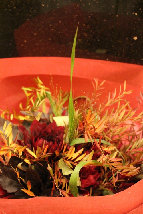 c0289024_162496.jpg