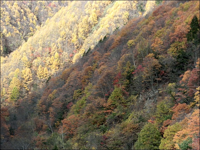 e0234924_1005734.jpg