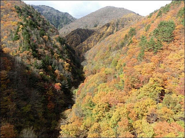 e0234924_103210.jpg