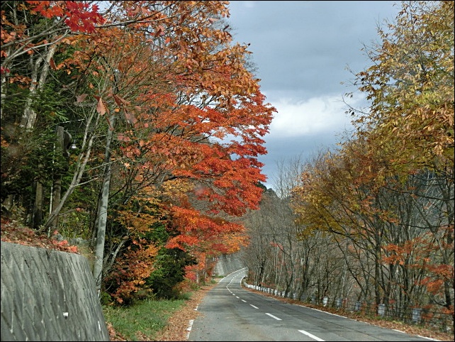 e0234924_1055870.jpg