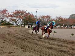 草競馬大会_f0022024_14581089.jpg