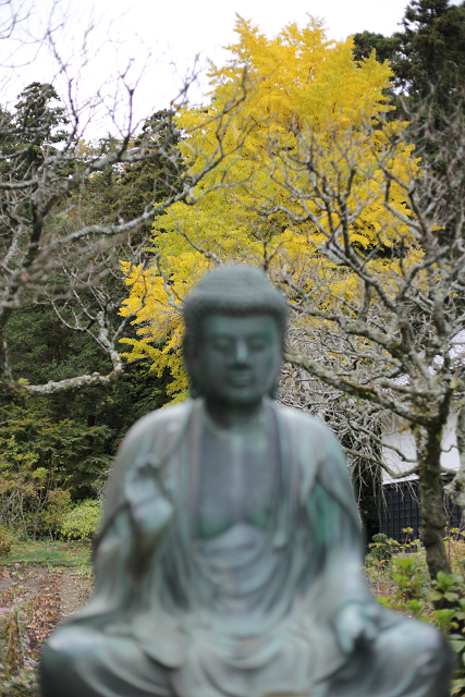 鎌倉散歩　#39 －紅葉の北鎌倉巡り（東慶寺・中編）－_b0169330_0274335.jpg