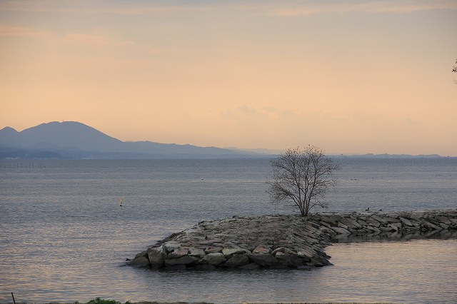a0045932_20452030.jpg