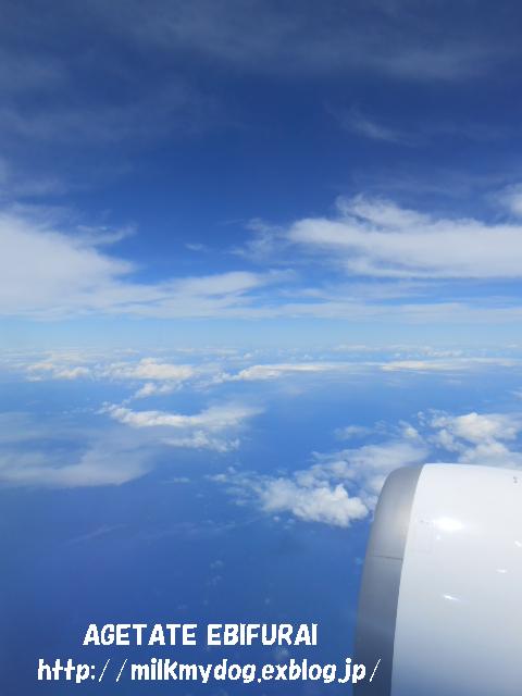 e0210934_22121415.jpg