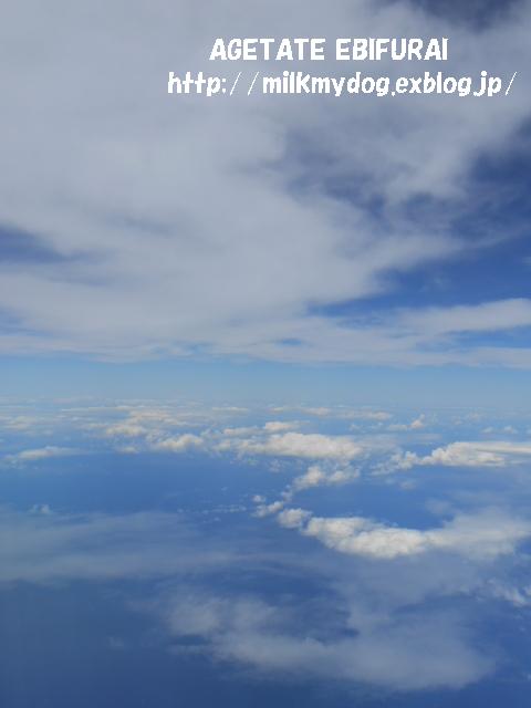 e0210934_22131092.jpg