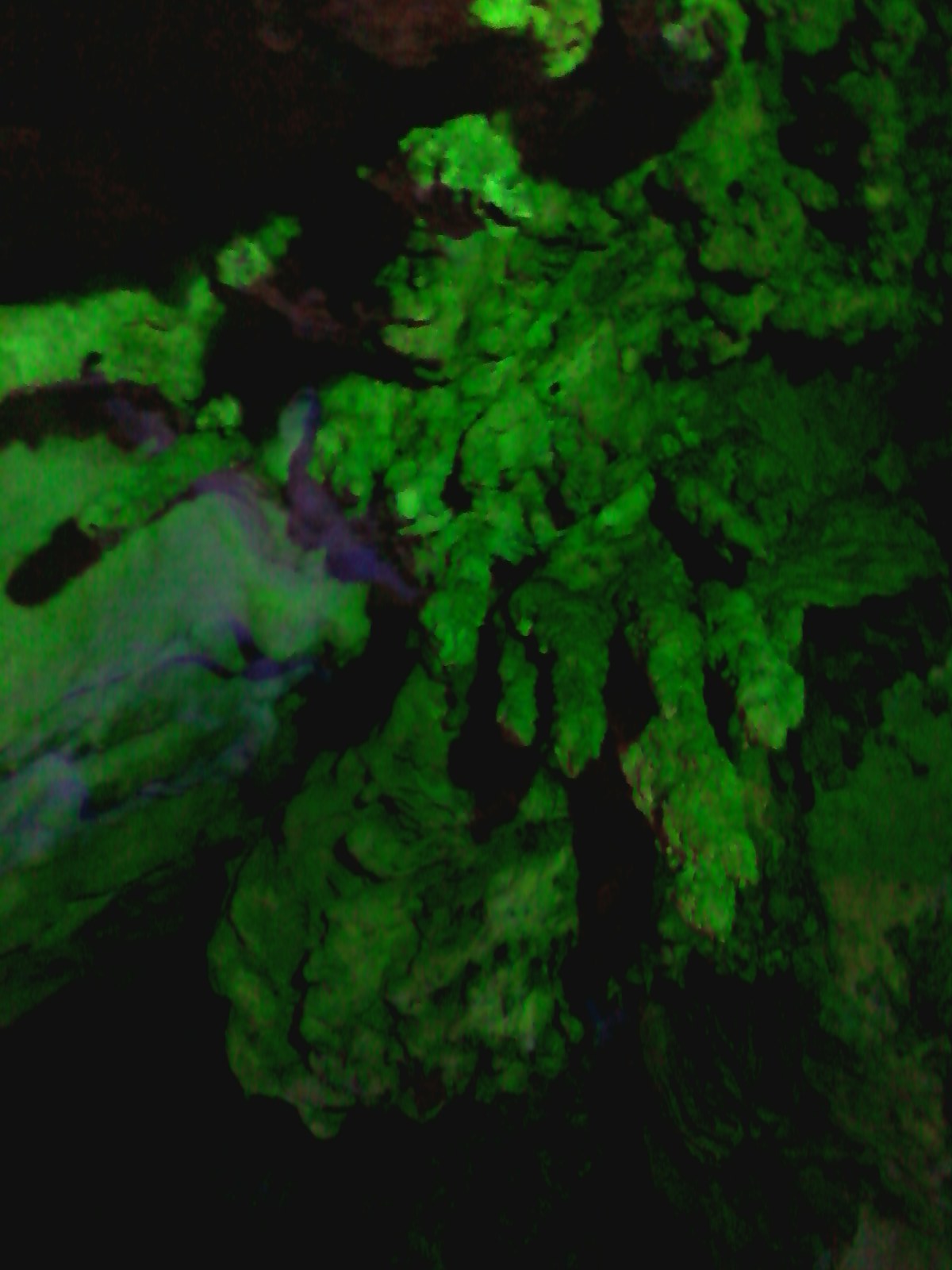 b0139239_20463600.jpg