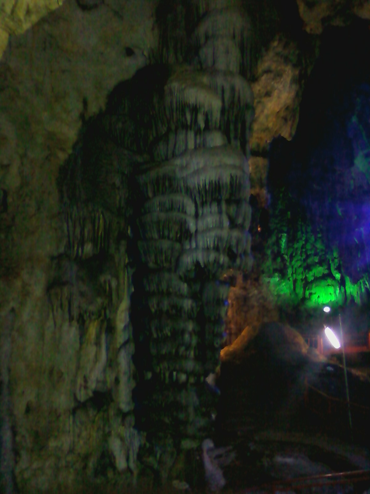 b0139239_20475227.jpg
