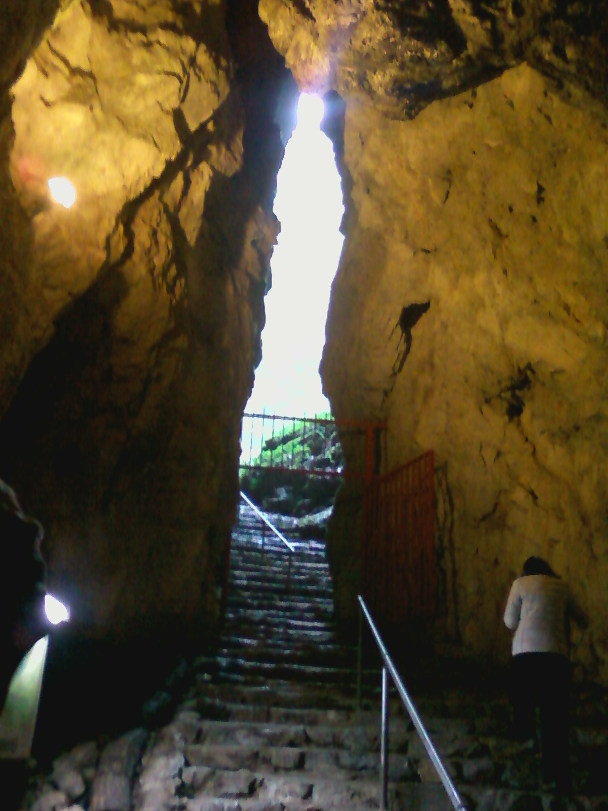 b0139239_20481565.jpg