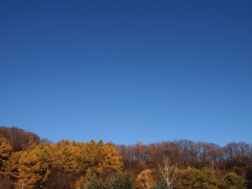 c0117239_10273094.jpg