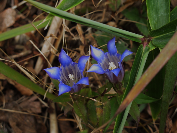 f0114339_13381346.jpg