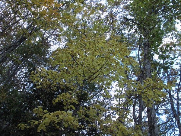 f0114339_13394318.jpg