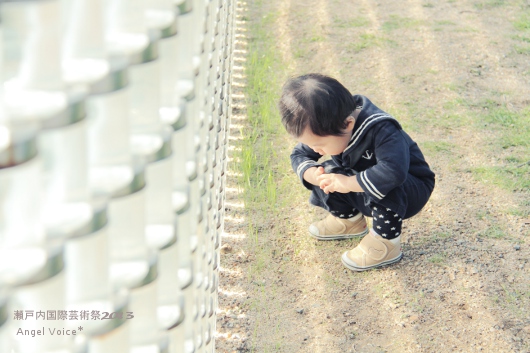 秋のセトゲー＠高見島①_d0147742_2061991.jpg