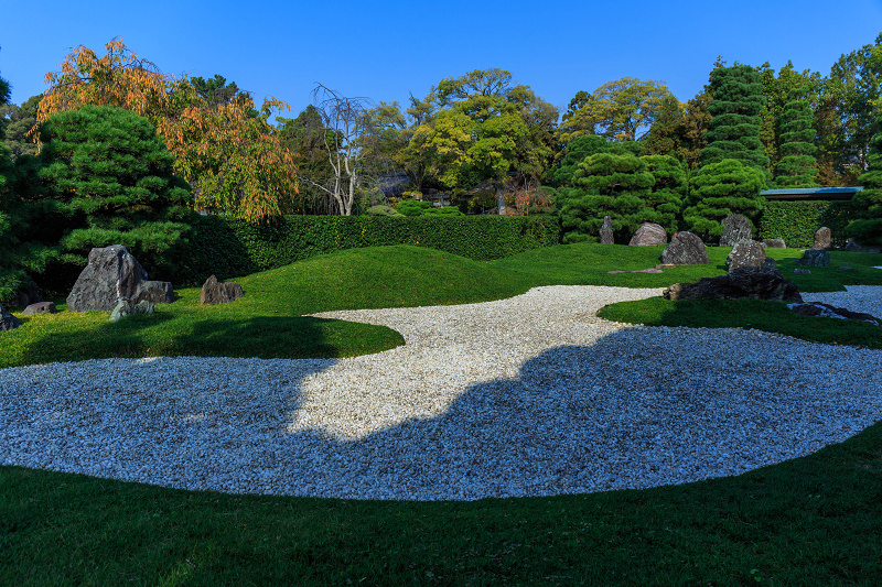 城南宮・秋の花_f0155048_20504642.jpg