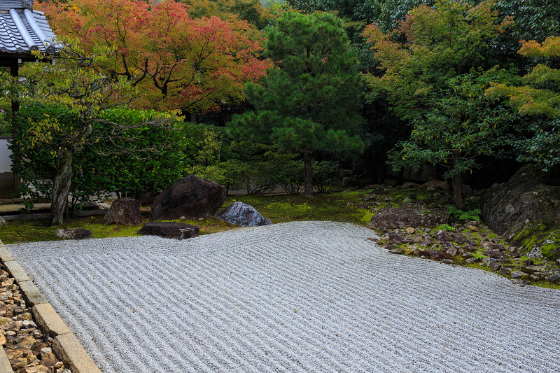 ツワブキの寺（高台寺塔頭・圓徳院）_f0155048_21473841.jpg