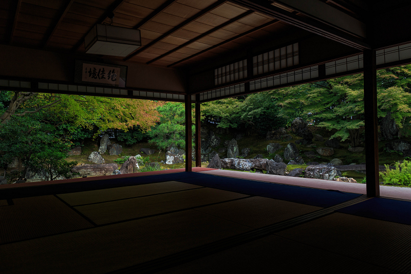 ツワブキの寺（高台寺塔頭・圓徳院）_f0155048_21483772.jpg