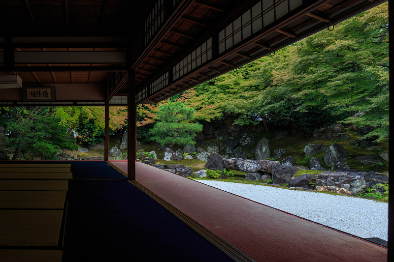 ツワブキの寺（高台寺塔頭・圓徳院）_f0155048_21484419.jpg