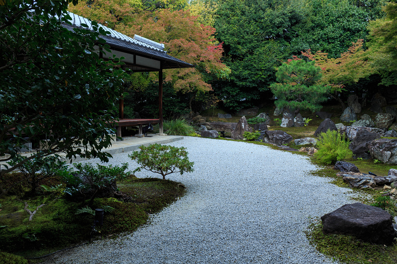 ツワブキの寺（高台寺塔頭・圓徳院）_f0155048_2150236.jpg