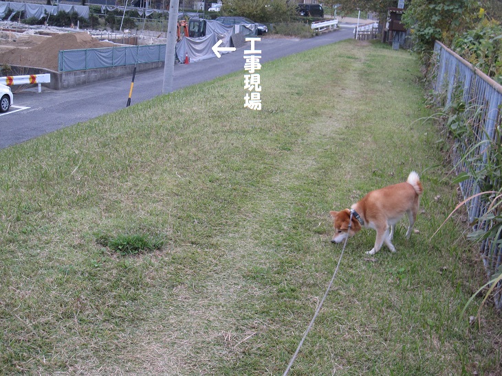 f0245650_8294854.jpg