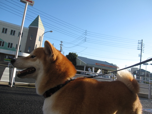 f0245650_8445959.jpg