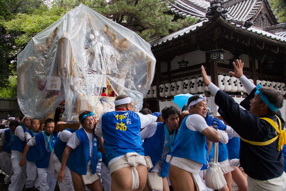 【祭り役員連絡用】祭りカレンダー２０１４ 画像候補_b0247751_843175.jpg